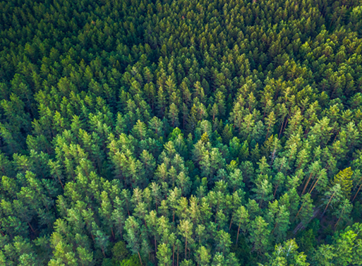 Sustainability background